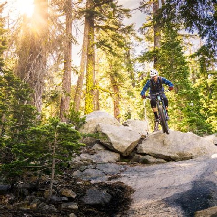 Discoveries And Insights For Mountain Bikers And Nature Enthusiasts